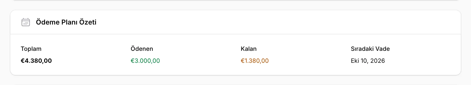 Ödeme Planı Özeti'ne bakın